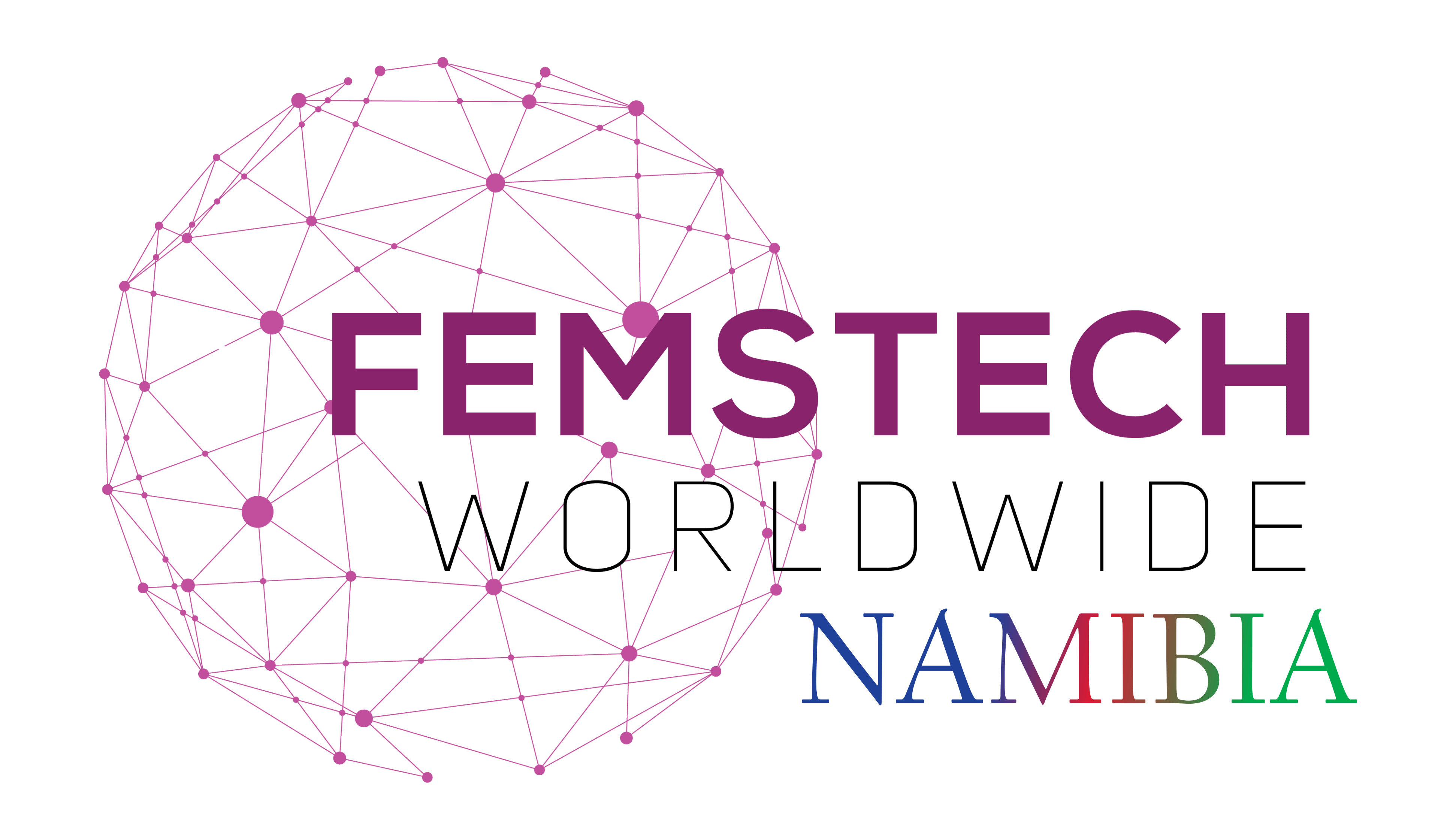 Femstech Nambia Logo